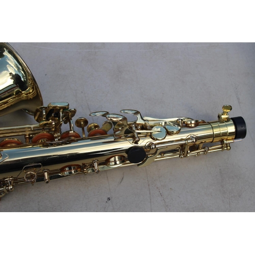 588 - EARLHAM SAXAPHONE