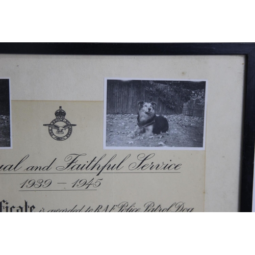 764 - WAR DOG CERTIFICATE