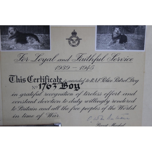 764 - WAR DOG CERTIFICATE