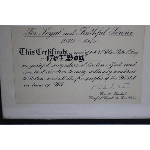 764 - WAR DOG CERTIFICATE