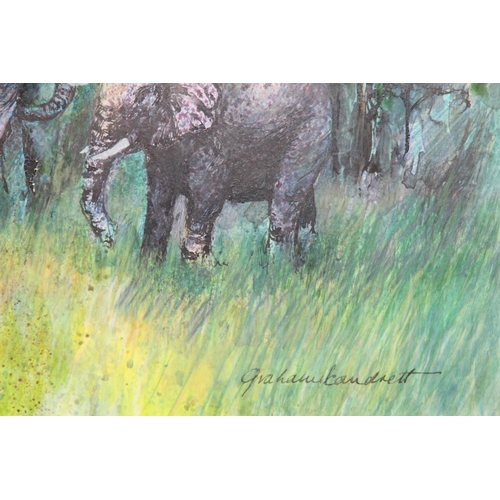 153 - MIXED MEDIA ELEPHANT BROTHERS INYATI GAME RESERVE 
48 X 43CM