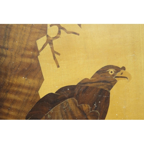 159 - 2 X MARQUETRY EAGEL PICTURES 
40 X 27CM