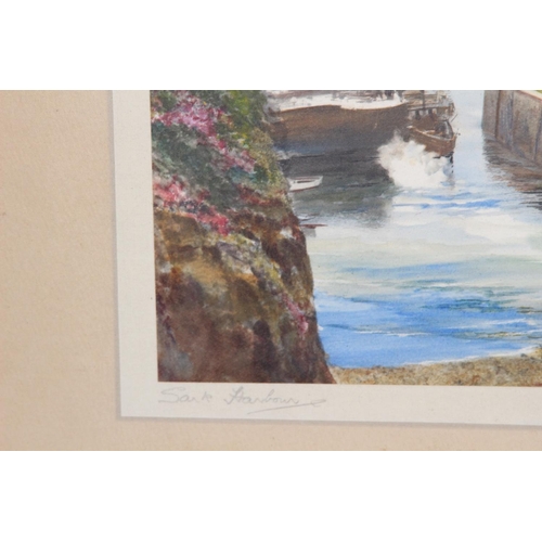 166 - 5 X IRISH COSTAL VIEWS WATERCOLOURS SIGHNED BY ALEC WILLIAMS RHA,D MORRIS AND SARK STANBOWN.
59 X 40... 