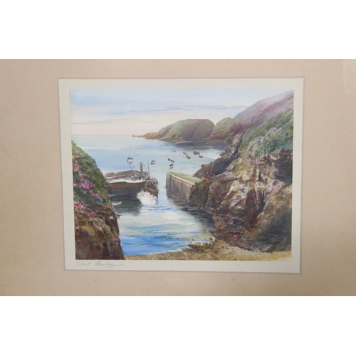 166 - 5 X IRISH COSTAL VIEWS WATERCOLOURS SIGHNED BY ALEC WILLIAMS RHA,D MORRIS AND SARK STANBOWN.
59 X 40... 