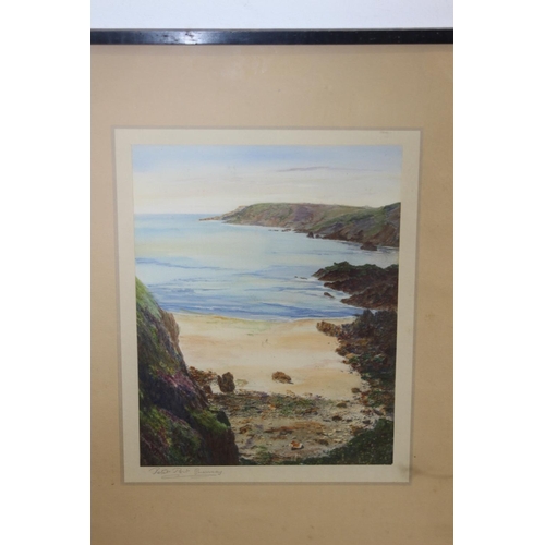 166 - 5 X IRISH COSTAL VIEWS WATERCOLOURS SIGHNED BY ALEC WILLIAMS RHA,D MORRIS AND SARK STANBOWN.
59 X 40... 