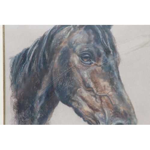 133 - SIGNED PASTEL HORSE PORTRAIT
59 X 70CM