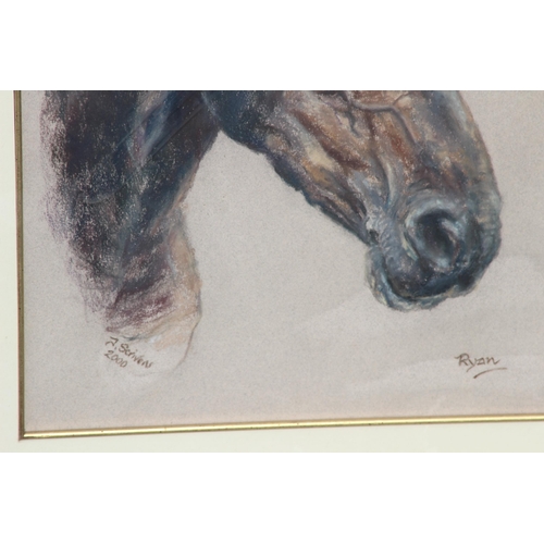 133 - SIGNED PASTEL HORSE PORTRAIT
59 X 70CM