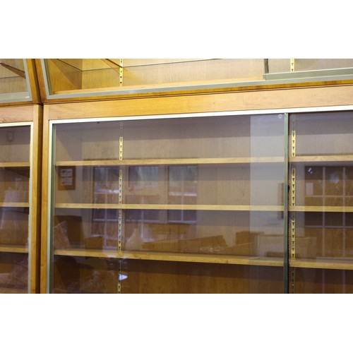 98 - LARGE PROFESSIONAL WALL MOUNTED LOCKABLE GLASS COLLECTORS DISPLAY CABINETS
203 x 247 x 42 LARGEST OV... 