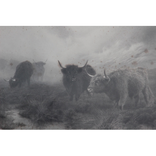 145 - VINTAGE HIGHLAND CATTLE,MOORLAND AND MIST PRINT
120 X 97CM