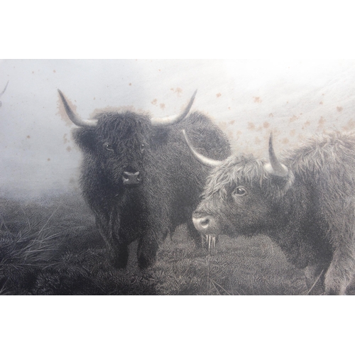 145 - VINTAGE HIGHLAND CATTLE,MOORLAND AND MIST PRINT
120 X 97CM