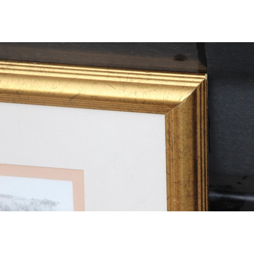 149 - 5 X GILT FRAMED PICTURES 
95 X 70CM