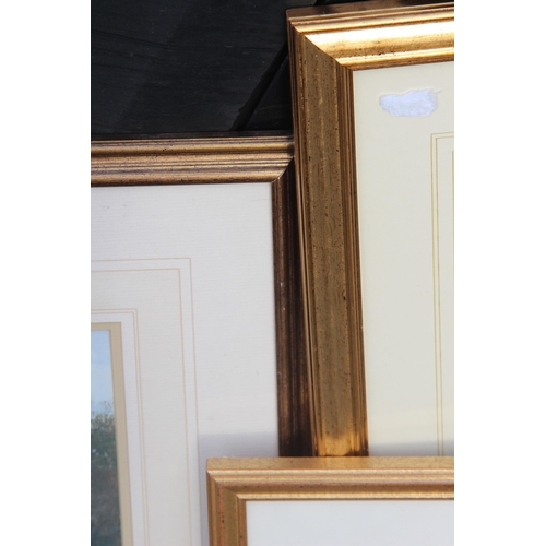 149 - 5 X GILT FRAMED PICTURES 
95 X 70CM