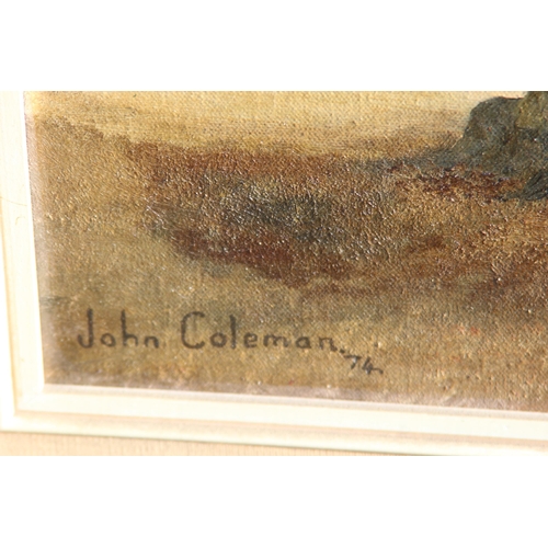 162 - 2 X OIL ON CANVAS ONE SIGNED BY JOHN COLEMAN 73
75 X 60CM