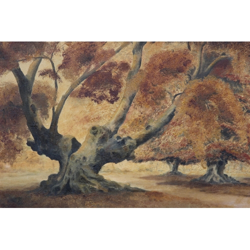 143 - SIGNED JOHN COLEMAN CANVAS OF A WOODEN SCENE 
76 X 67CM