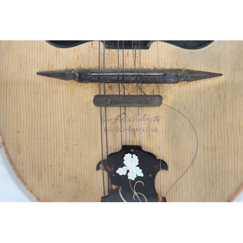 297 - CASED ITALIAN MANDOLIN STAMPED NAPOLI PRIVATIVA MODEL A - 1904 - SERIAL NO 12727 - INTERIOR LABEL CA... 