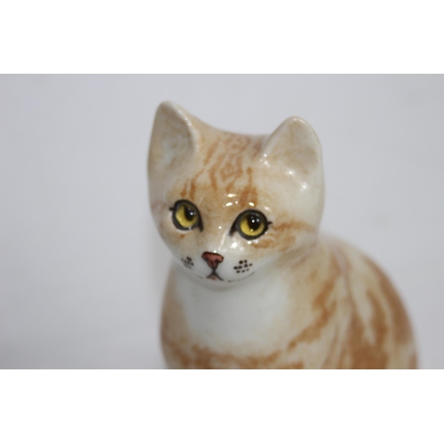 566 - WINSTANLEY CAT
21CM