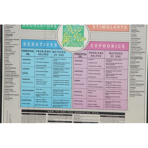 164 - TEACHING BOARD PLUS 2 OTHERS 
62 X 51CM