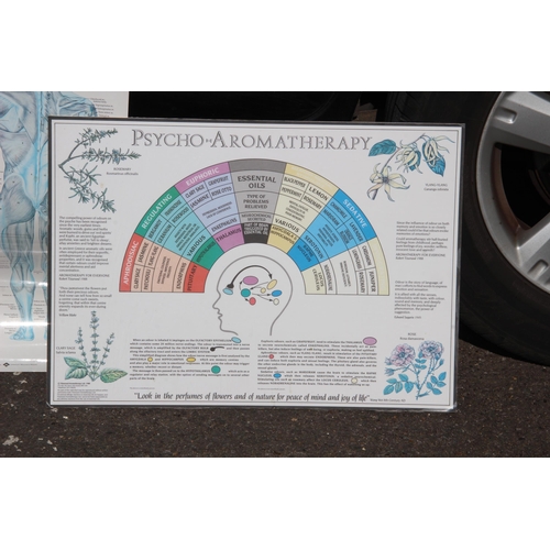 164 - TEACHING BOARD PLUS 2 OTHERS 
62 X 51CM