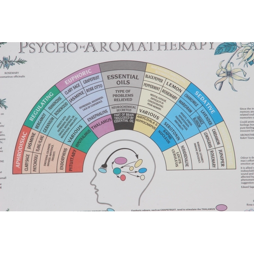 164 - TEACHING BOARD PLUS 2 OTHERS 
62 X 51CM