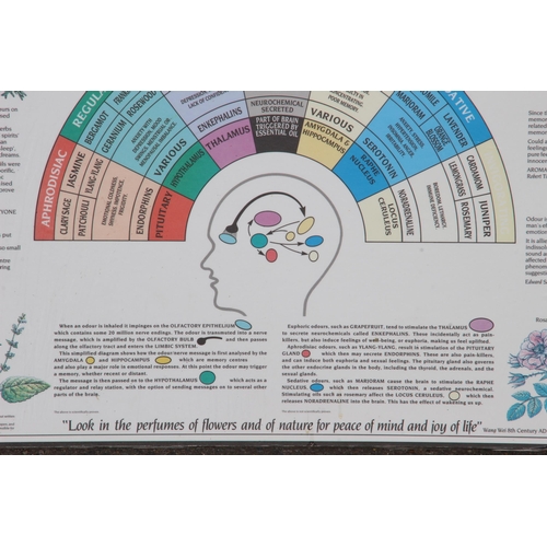 164 - TEACHING BOARD PLUS 2 OTHERS 
62 X 51CM