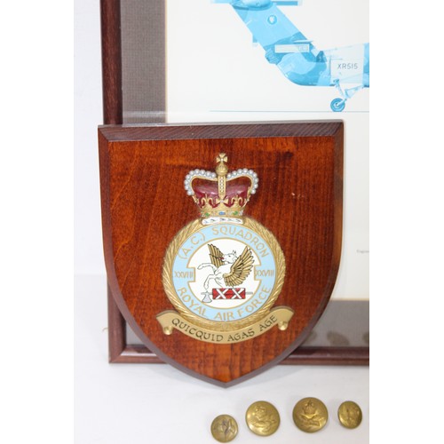 526 - Air Force PICTURE AND RAF SHIELD 
47 X 41CM