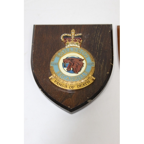 515 - TWO RAF PLAQUES FOR 125 NEWFOUNDLAND SQUADRON AND 439 SQUADRON