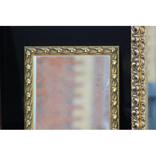 160 - 3 X ORNATE FRAMED MIRRORS 
127 X 33CM