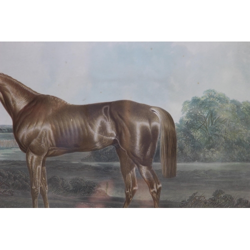 177 - 3 X VINTAGE HORSE SCENE PRINTS 
96 X 70CM