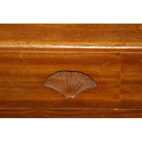 24 - VINTAGE CAMPHORWOOD CHEST 
164 X 52 X 50CM