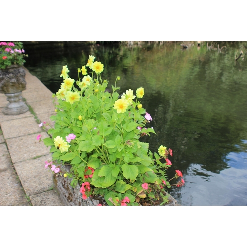 156 - LARGE STONE PLANTER 
109 X 38 X 40CM