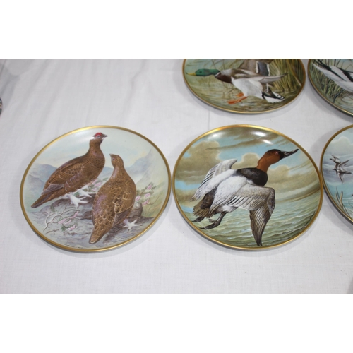 316 - LARGE QUANTITY OF FRANKLIN PORCELAIN BIRD PICTURE PLATES