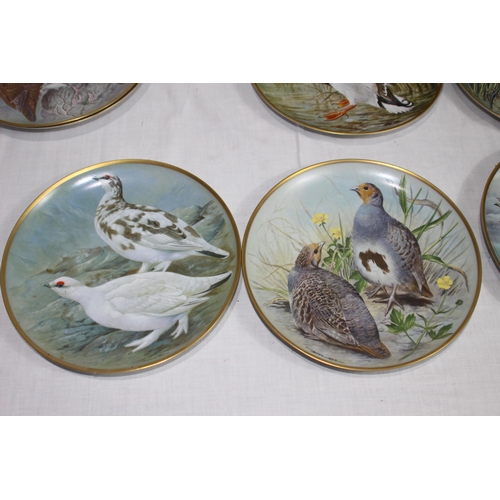 316 - LARGE QUANTITY OF FRANKLIN PORCELAIN BIRD PICTURE PLATES