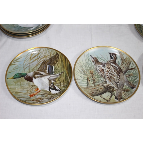 316 - LARGE QUANTITY OF FRANKLIN PORCELAIN BIRD PICTURE PLATES