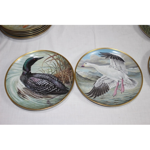 316 - LARGE QUANTITY OF FRANKLIN PORCELAIN BIRD PICTURE PLATES