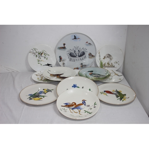 323 - QUANTITY OF ANTIQUE BIRD PLATES