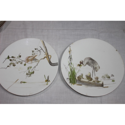 323 - QUANTITY OF ANTIQUE BIRD PLATES