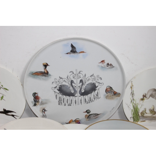 323 - QUANTITY OF ANTIQUE BIRD PLATES