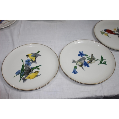 323 - QUANTITY OF ANTIQUE BIRD PLATES