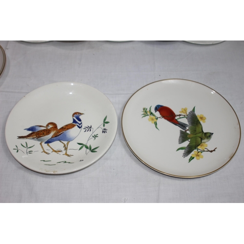 323 - QUANTITY OF ANTIQUE BIRD PLATES