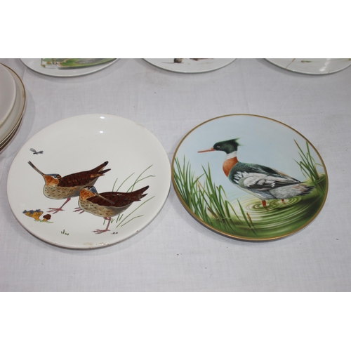 323 - QUANTITY OF ANTIQUE BIRD PLATES