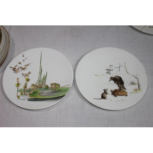 323 - QUANTITY OF ANTIQUE BIRD PLATES