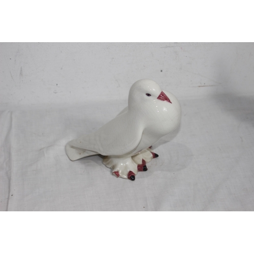 357 - PAIR OF CASA PUPO DOVES AND POTTERY PARRET