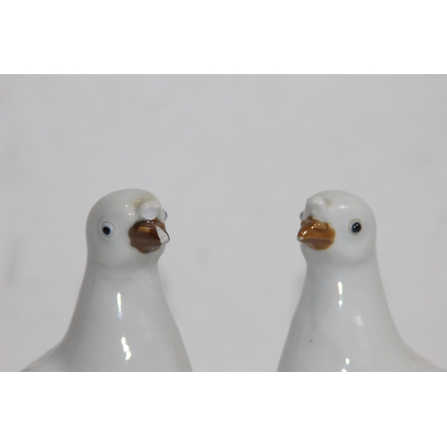 844 - PAIR OF CHINESE DOVES - ONE DAMAGE TO BEAK
15.5CM