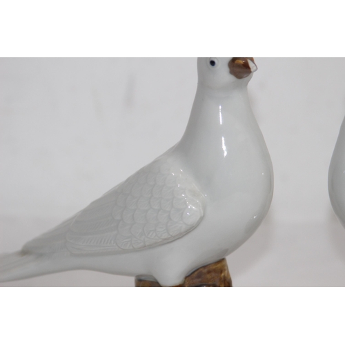 844 - PAIR OF CHINESE DOVES - ONE DAMAGE TO BEAK
15.5CM