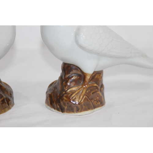 844 - PAIR OF CHINESE DOVES - ONE DAMAGE TO BEAK
15.5CM