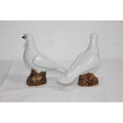 844 - PAIR OF CHINESE DOVES - ONE DAMAGE TO BEAK
15.5CM