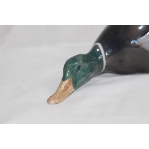 849 - ROYAL COPENHAGEN DUCK 
6 X 20CM