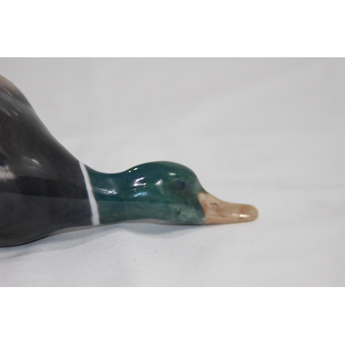 849 - ROYAL COPENHAGEN DUCK 
6 X 20CM