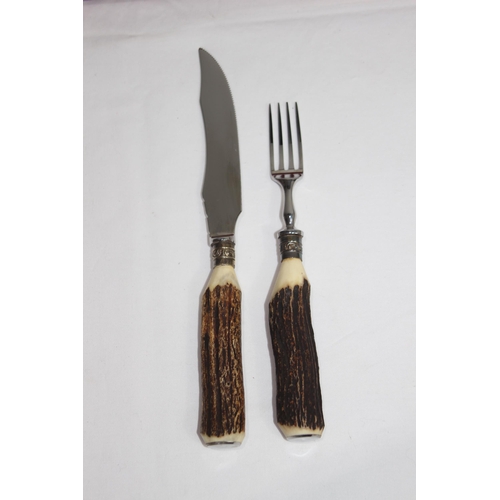 419 - CASED SET OF STEAK KNIVES AND COFFEE BEAN SPOONS