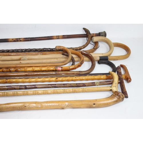 607 - LARGE QUANTITY OF WOODEN WALKING STICKS